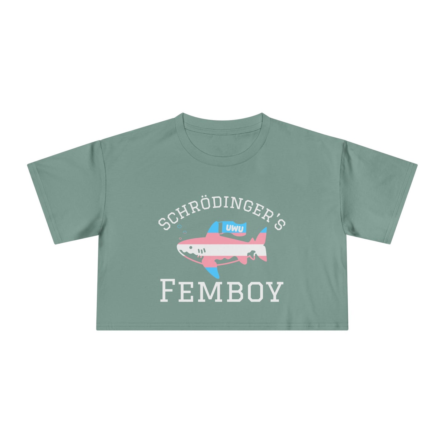 Femboy Trans Crop Top