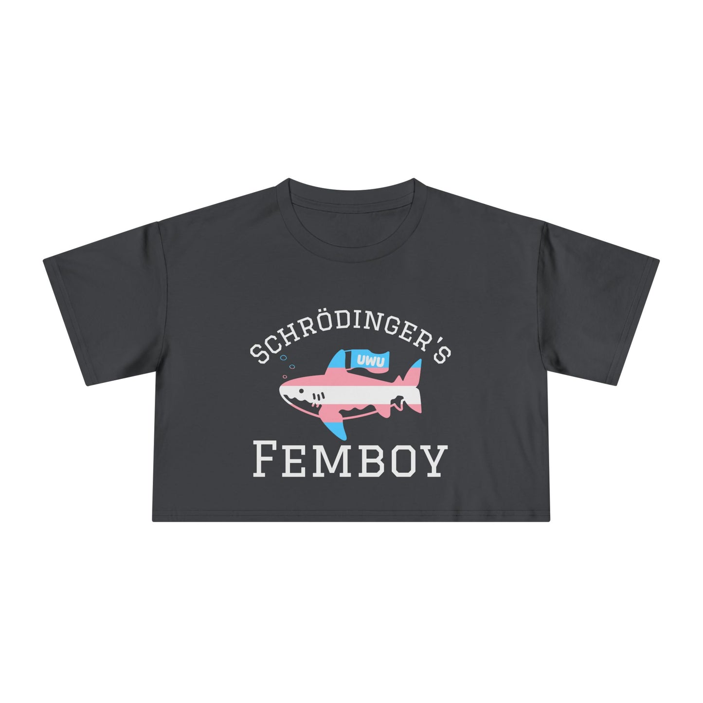 Femboy Trans Crop Top