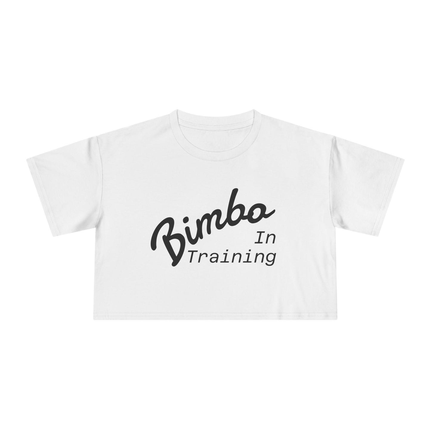 Bimbo In Training Crop Top | Kawaii Bimbocore Shirt, Sissy Kink Tee, Feminine Aesthetic T-Shirt, Cute Bimbo Gift, Kinkwear Pink Crop