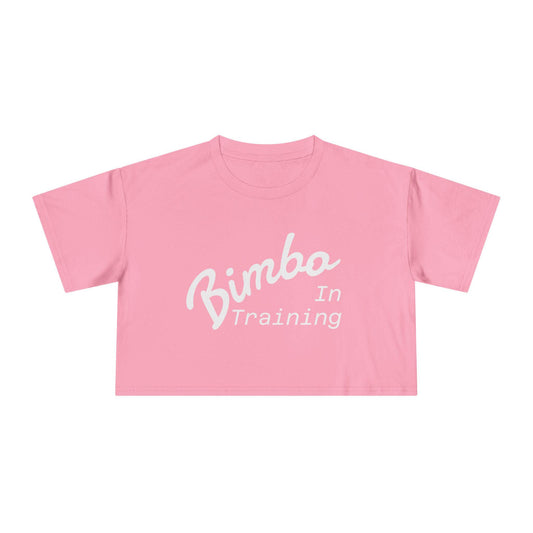 Bimbo In Training Crop Top |  Kawaii Bimbocore Shirt, Sissy Kink Tee, Feminine Aesthetic T-Shirt, Cute Bimbo Gift, Kinkwear Pink Crop